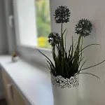 Am Muehlenviertel - 3 Schlafzimmer - 6 Betten - Wlan - Smart Tv - Altstadtnah ארפורט