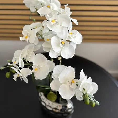 Am Muehlenviertel - 3 Schlafzimmer - 6 Betten - Wlan - Smart Tv - Altstadtnah *