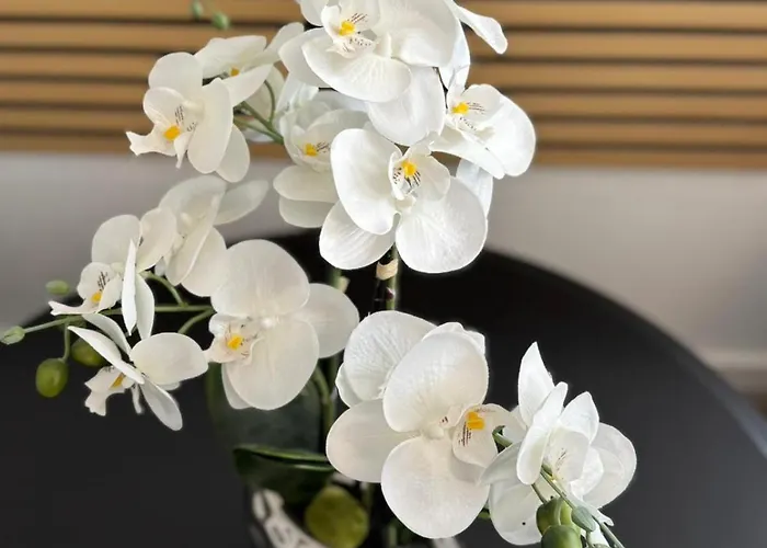 Am Muehlenviertel - 3 Schlafzimmer - 6 Betten - Wlan - Smart Tv - Altstadtnah *