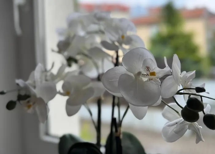 Am Muehlenviertel - 3 Schlafzimmer - 6 Betten - Wlan - Smart Tv - Altstadtnah *